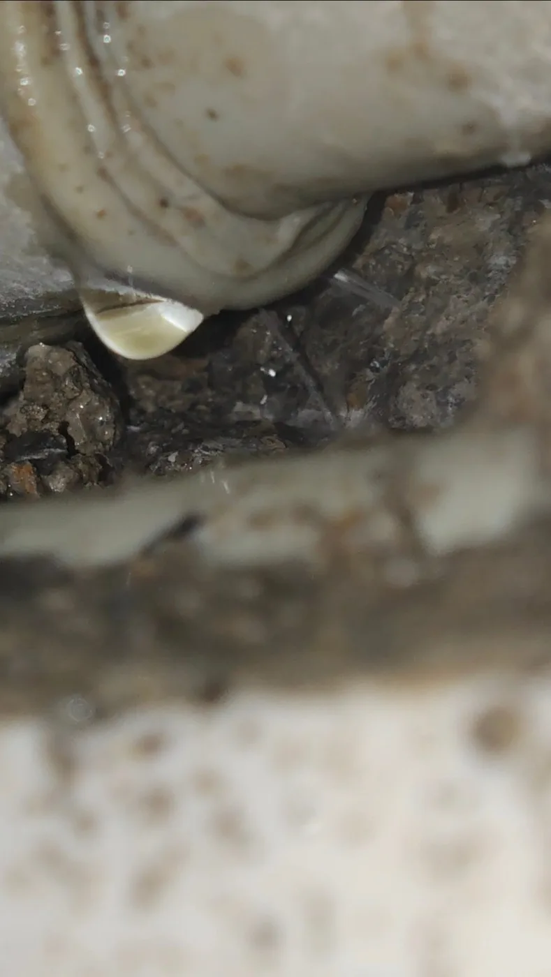 水管接駁位置漏水的真實近距離照片